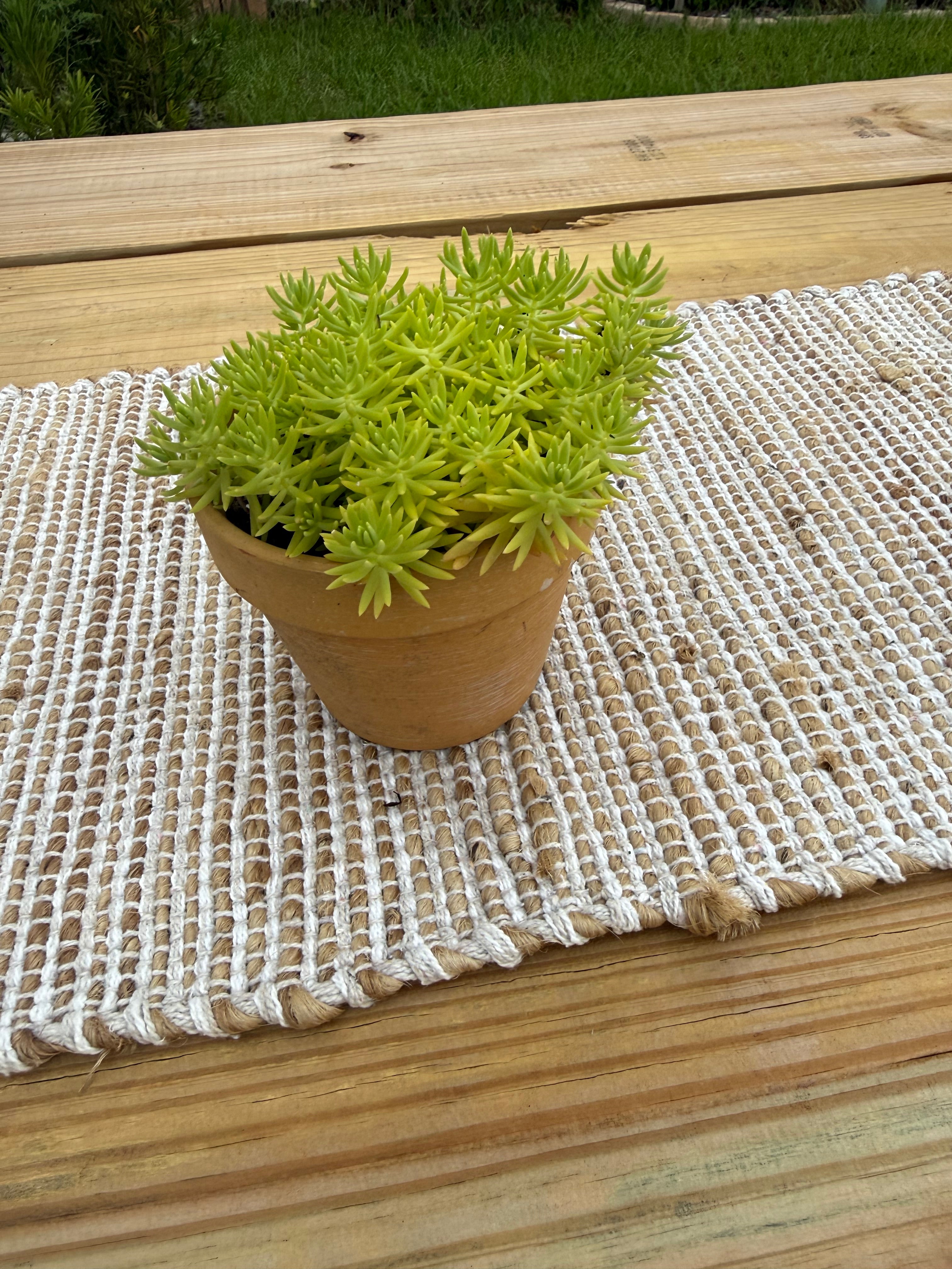 Lemon Coral Sedum (Mexican)